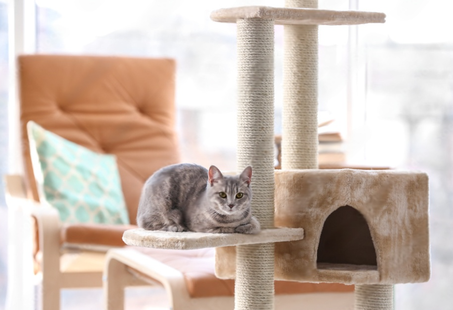 Furniture & Décor