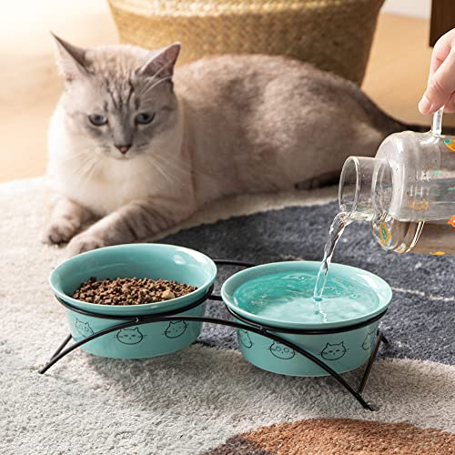Feeding Essentials